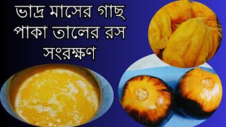 তালের রস সংরক্ষণ করার পদ্ধতি । How to preserve palm juice [upl. by Roderick]