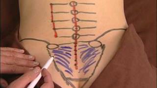 Anatomy Drawing of the Sacroiliac Ligaments [upl. by Annah]