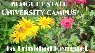 Visit Benguet State University after mass✓ La Trinidad Benguet [upl. by Bundy]