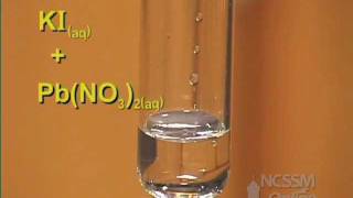 Double Displacement Lead Nitrate and Potassium Iodide [upl. by Crandale]