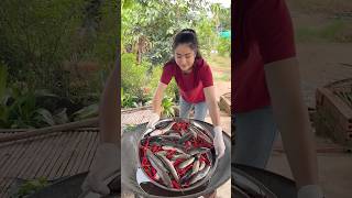 Yummy field fish 🐟 with chili 🌶️ cooking [upl. by Akierdna]