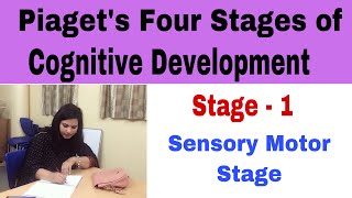 P12 Sensory Motor Stage  Piaget’s Four Stages Of Cognitive Development [upl. by Phio433]