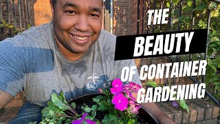 How to plant out your containers  The beauty of container gardening [upl. by Tannenwald]