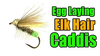 Egg Laying Elk Hair Caddis [upl. by Nidroj]