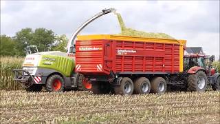 Bart Sprangers mais hakselen 2017 2  Claas Jaguar 960 [upl. by Olli394]