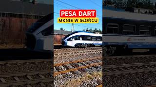 Pesa Dart PKP intercity Pilecki mknie dalej trainshortvideo pociągi  listopad 2024 [upl. by Alyek]