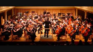 Beyonce  HALO orchestral ver by Deniss Firsovs ridiskawmv [upl. by Ayikin]