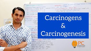 Cancer Part 3 Carcinogens and Carcinogenesis  Tumour Supressor Gene and Oncogenes [upl. by Oinotnaesoj]