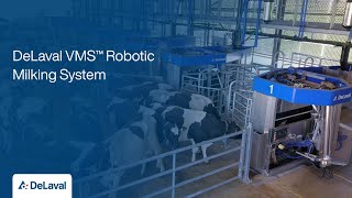 DeLaval VMS™ Robotic Milking System [upl. by Palgrave]