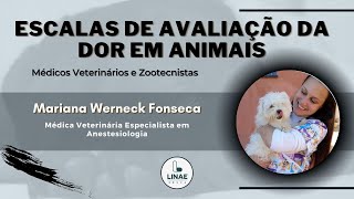 Escalas de Avaliação da Dor em Animais  Médicos Veterinários e Zootecnistas [upl. by Ettolrahc]