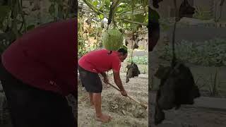 Aaj Garden Me Chla Di Tubewell minivlogs villagelife palfamilyvlogs [upl. by Mharba296]