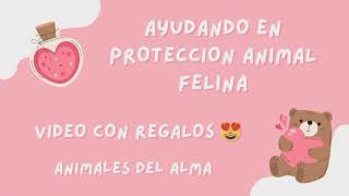 PROTECCION ANIMAL FELINA [upl. by Jorgensen]