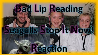 quotSeagulls Stop It Nowquot  A Bad Lip Reading  Reaction [upl. by Nagaet9]