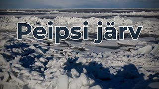 Peipsi järv  Lake Peipus  Чудское [upl. by Siduhey]