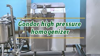 🚀 Gondor High Pressure Homogenizer for Superior Dairy Production – Efficient amp Reliable ✅ [upl. by Onilegna56]