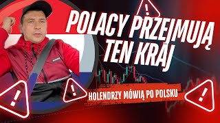 POLACY PRZEJMUJĄ KRAJ A HOLENDRZY MÓWIĄ PO POLSKU [upl. by Ellednek618]