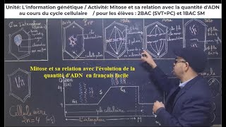 P5lévolution de la quantité dADN et sa relation avec la mitose en français facile SVT 2BAC [upl. by Booze]