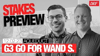 Grade 3 Go For Wand Stakes Preview  December 2 2023 [upl. by Gregg]