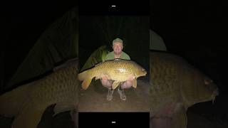 Big Common Carp fishing bigfish fish fisherman funny fishinglife [upl. by Regnij]