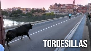 Tordesillas 2024 Toro de la Hosteleria [upl. by Cela]