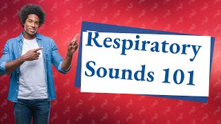 What are the 4 respiratory sounds [upl. by Ydoow]