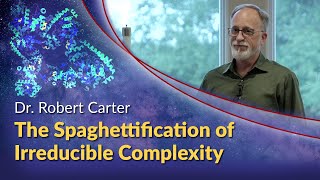 Dr Robert Carter  The Spaghettification of Irreducible Complexity [upl. by Clawson]