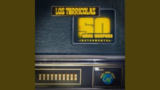 Viviras 50 Años Despues Instrumental [upl. by Nairam]