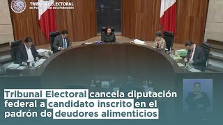 Tribunal Electoral cancela diputación a candidato inscrito en el padrón de deudores alimenticios [upl. by Aitekram]