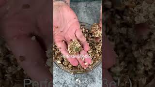 homemade granola gt storebought granola 🥣🫧🦋☁️ granola cinammon coconut breakfast homemade easy recipe southafrican viralrecipe viral follow like tiktoksouthafrica foryoupage fyp [upl. by Tyrrell486]