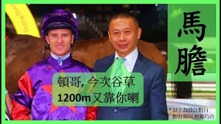 【賽馬貼士】今次介紹 潘頓 沈集成 套餐 Nek Chang 馬膽 R6 換人交代 DENFIELD R7 檔佳路合 COPARTNER AMBITION Hong Kong Horse Racing [upl. by Delphina]