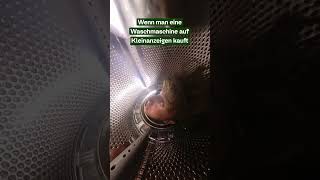 Wie riecht die Waschmaschine 👃🏻👀 360grad kleinanzeigen lustig [upl. by Willcox]