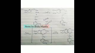 PAPAVERINE Optically inactive Alkaloids alkaloids Papaverine [upl. by Auqinom]