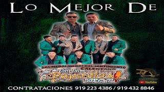 LO MEJOR DE BANDA PAJARILLOS MUSICAL [upl. by Yentruok]