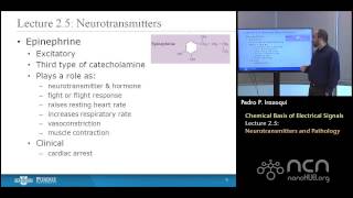 nanoHUBU Bioelectricity L25 Chemical Basis  Neurotransmitters and Pathology [upl. by Htebasil355]