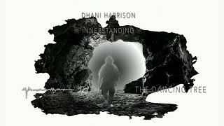 Dhani Harrison  The Dancing Tree Feat Mereki Official Audio [upl. by Carrnan]