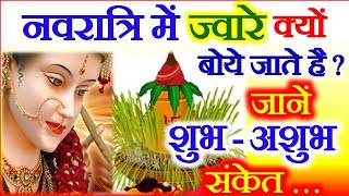 Chaitra Navratri 2022  Navratri Jware Ke Shubh Ashubh Sanketनवरात्रि ज्वारे के शुभ अशुभ संकेत महत्व [upl. by Chew985]