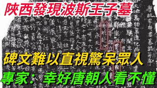 陜西發現波斯王子墓，碑文難以直視驚呆眾人，專家：幸好唐朝人看不懂！【本宮扒歷史】古代歷史故事 [upl. by Donata]