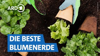 Blumenerde im Vergleich Womit blüht es besser  Marktcheck SWR [upl. by Ennahtebazile]