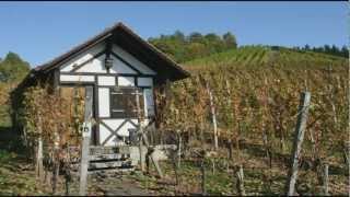 Landkreis Weinlied quotFrankenwein aus dem Neustädter Landquot [upl. by Stubbs]