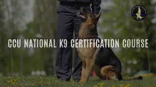 National K9 Certification Course  Custom Canine Unlimited [upl. by Adria]