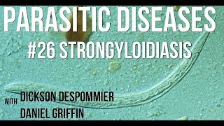 Parasitic Diseases Lectures 26 Strongyloidiasis [upl. by Refiffej]