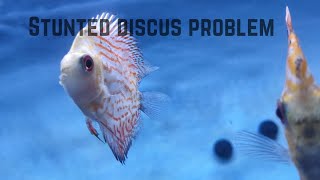 Stunted discus problem [upl. by Etteniotnna969]