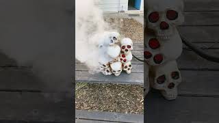 Spirit Halloween fogging skull pile  daytime [upl. by Maillij482]