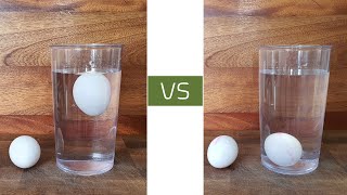 Good vs Bad Eggs  An easy method to test if eggs are still edible and good [upl. by Ymeraj]