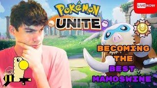 Number One Mamoswine Grind Pokemon Unite Beelama Boy Live Stream [upl. by Thay]