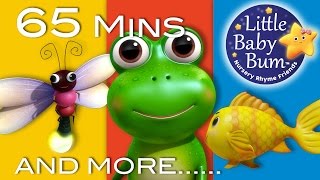 Five Little Speckled Frogs  Little Baby Bum  Nursery Rhymes for Babies  Baby Song Compilation [upl. by Nirb]