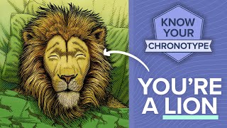 The truth about the Lion chronotype [upl. by Wallach]