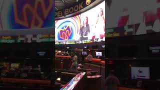 Westgate Sports Book Las Vegas [upl. by Adnahcal]