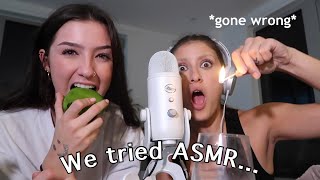 My Friends try ASMR Even My Cats [upl. by Hannahoj]