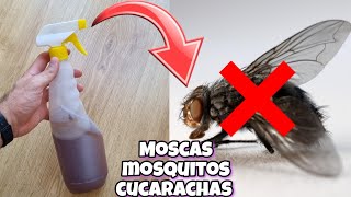 Dile ADIÓS a moscas mosquitos y cucarachas con este REPENTE CASERO para HOGAR y JARDÍN Con canela [upl. by Aninep]